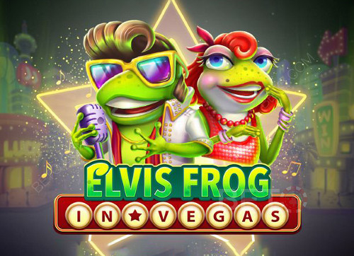 Elvis Frog in Vegas