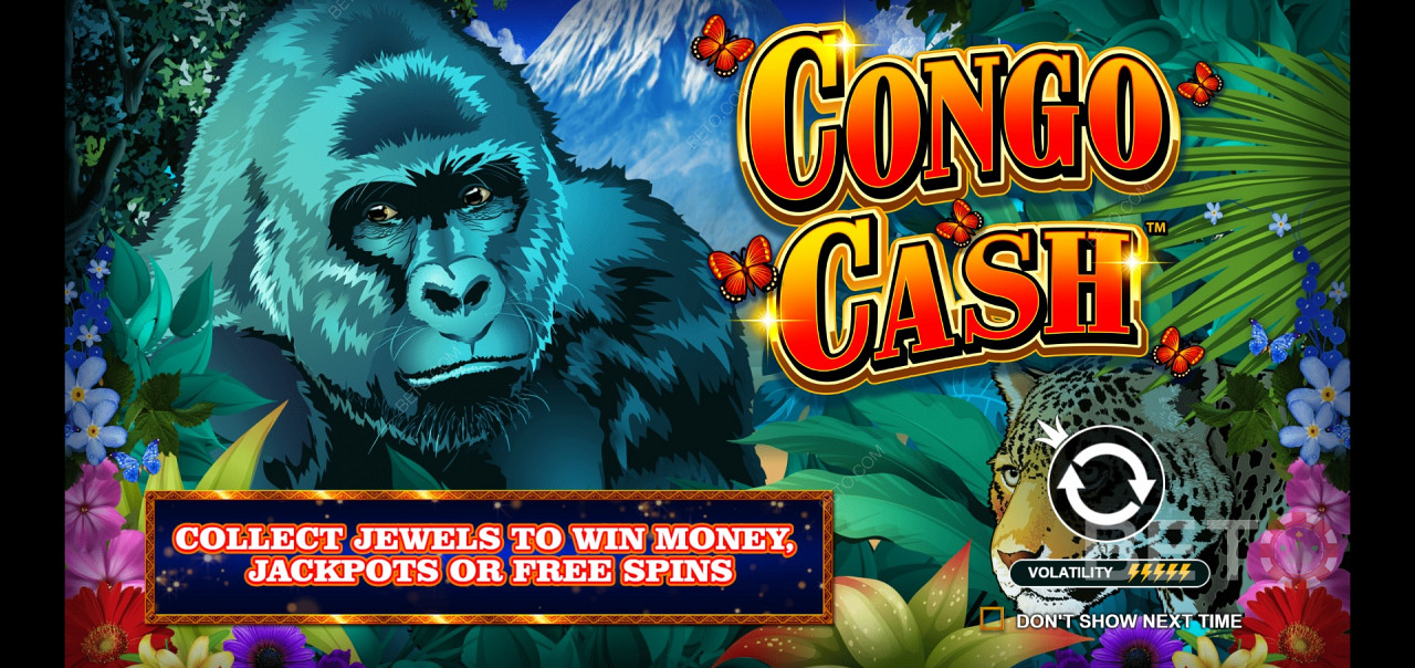 Congo Cash - একটি জঙ্গল অ্যাডভেঞ্চারে সিলভারব্যাকে যোগ দিন