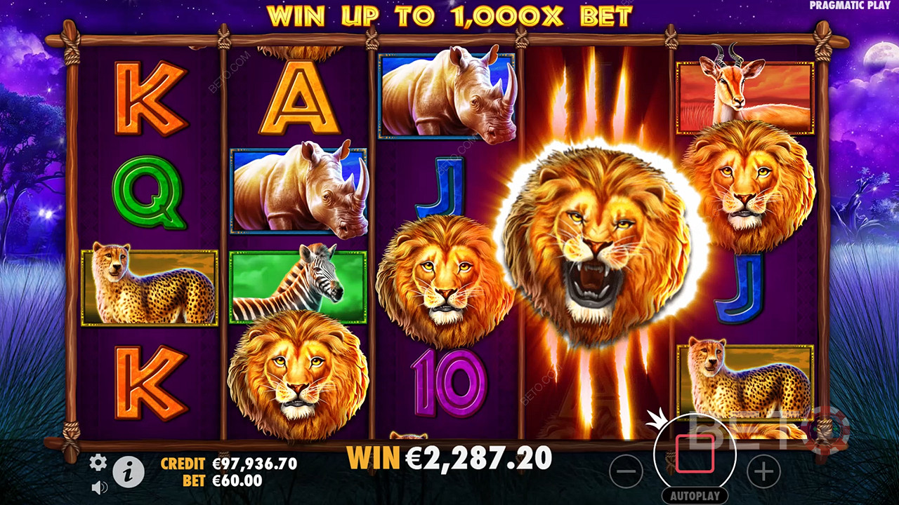 Safari King (Pragmatic Play)  ফ্রি খেলুন