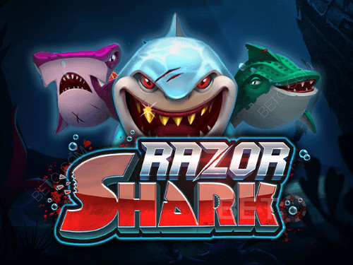 Razor Shark অনলাইন স্লট