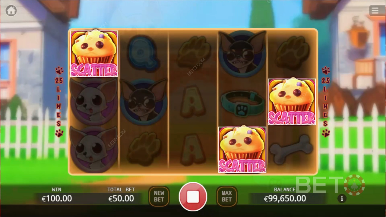 Chihuahua Party ফ্রি খেলুন