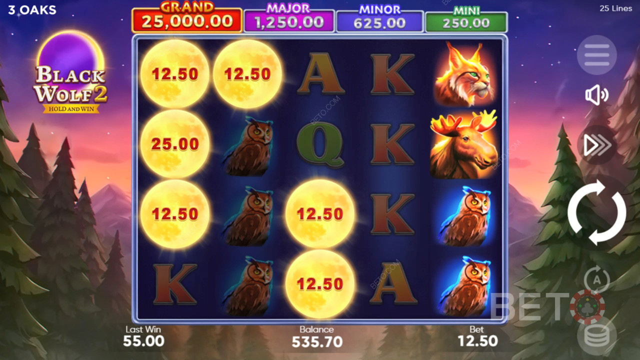 Black Wolf 2 ফ্রি খেলুন