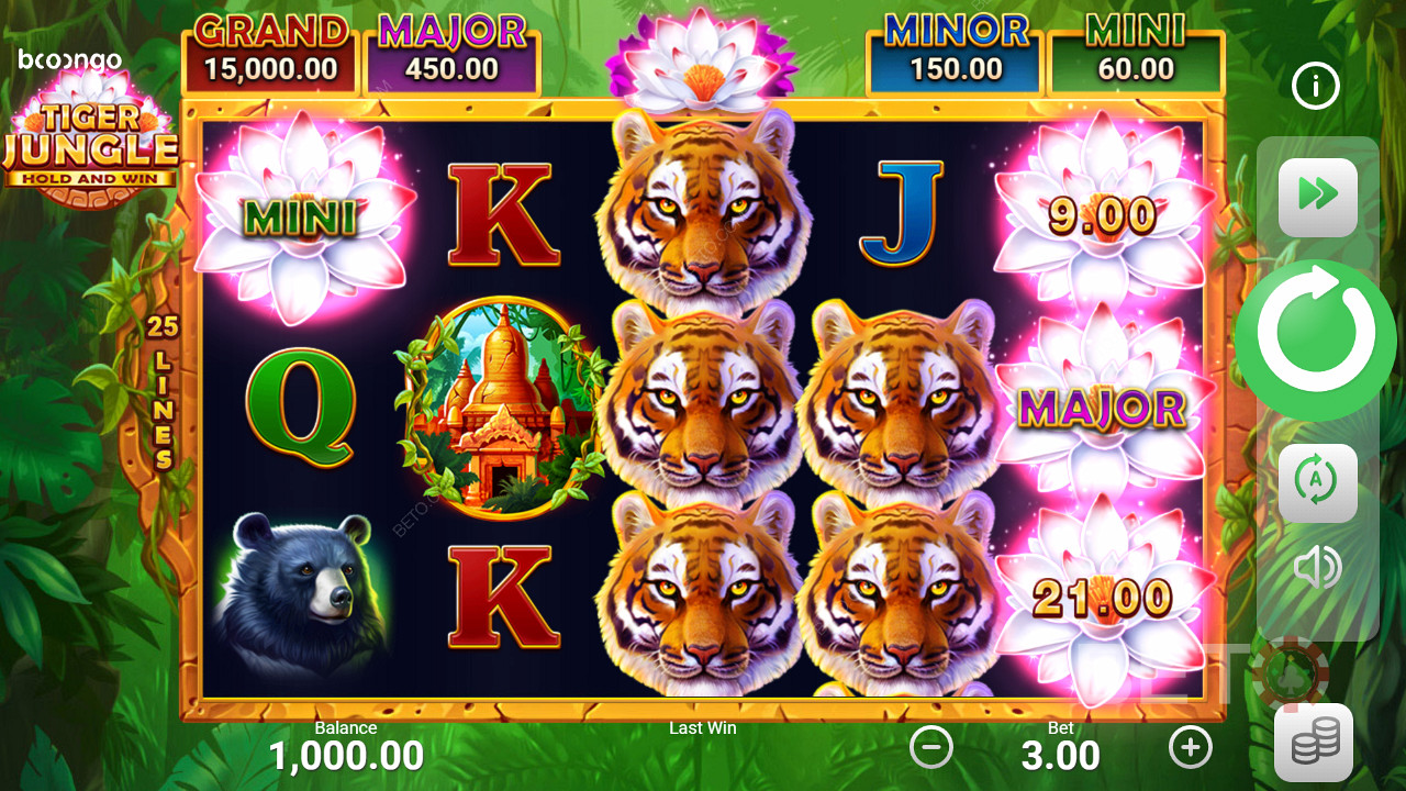 Tiger Jungle Hold and Win মতো স্লটে ল্যান্ড জ্যাকপট