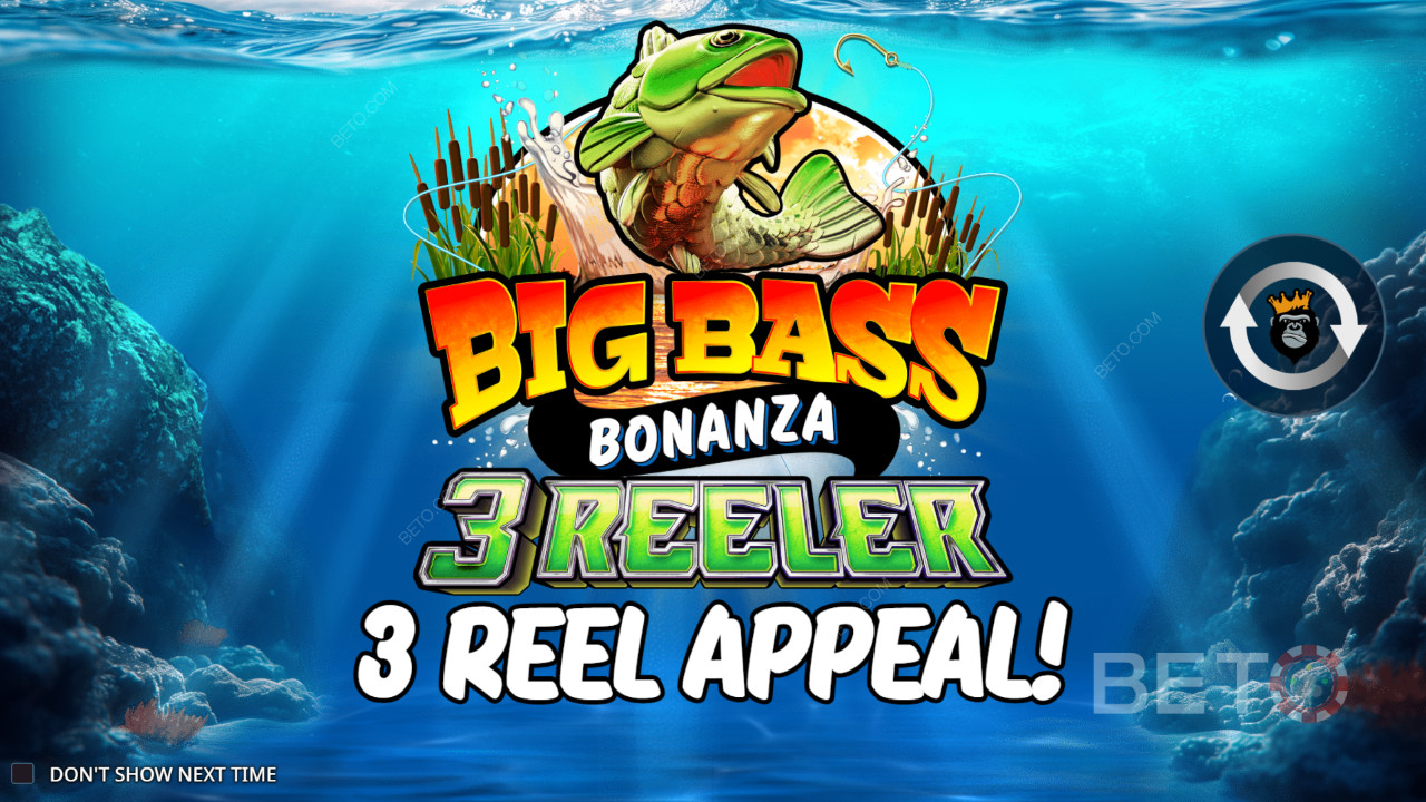 Reel Kingdom Big Bass Bonanza ৩ রিলার কিভাবে খেলবেন