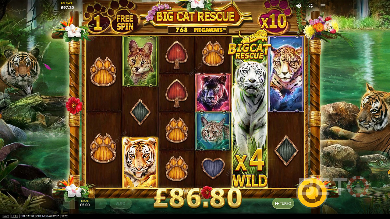 Big Cat Rescue Megaways ফ্রি খেলুন