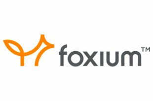 Foxium ᐈ স্লট ডেমো খেলুন ✚রিভিউ (2025)