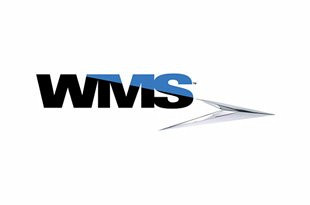 WMS ᐈ স্লট খেলুন ফ্রি ✚ পর্যালোচনা (2024)