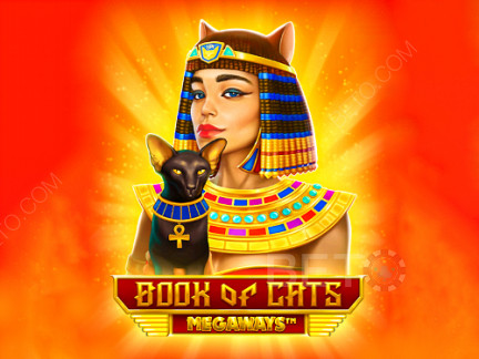 Book of Cats Megaways ডেমো