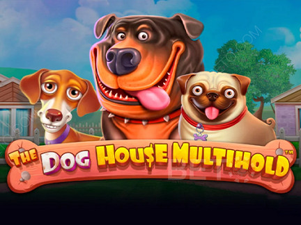 The Dog House Multihold ডেমো