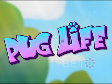 Pug Life ডেমো