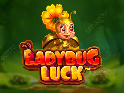 Ladybug Luck  ডেমো