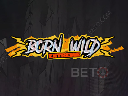 Born Wild ডেমো