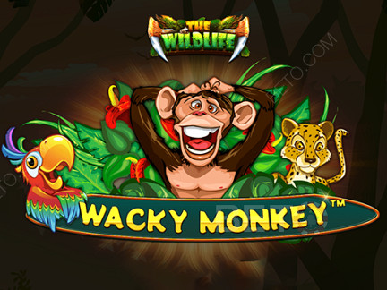 Wacky Monkey ডেমো