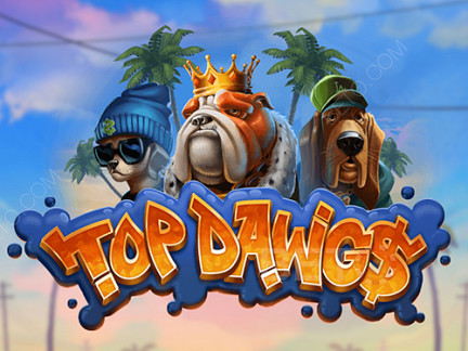 Top Dawgs ডেমো