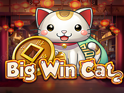 Big Win Cat ডেমো