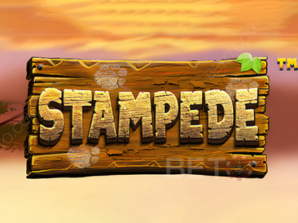 Stampede (Betsoft)  ডেমো