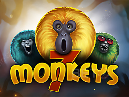 7 Monkeys  ডেমো