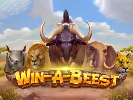 Win A Beest ডেমো