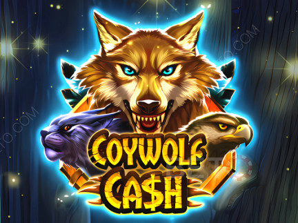 Coywolf Cash ডেমো