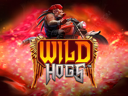 Wild Hogs ডেমো