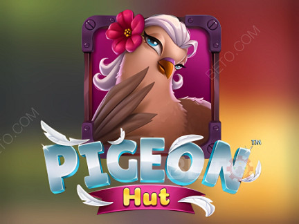 Pigeon Hut ডেমো