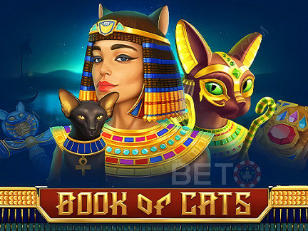 Book Of Cats ডেমো