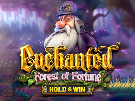 Enchanted: Forest of Fortune ডেমো
