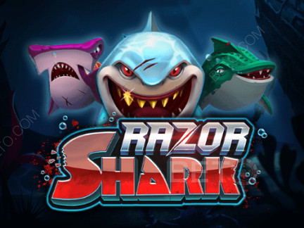 Razor Shark ডেমো
