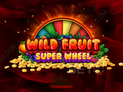 Wild Fruit Super Wheel  ডেমো