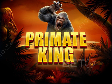 Primate King ডেমো
