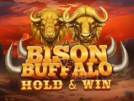 Bison vs Buffalo ডেমো