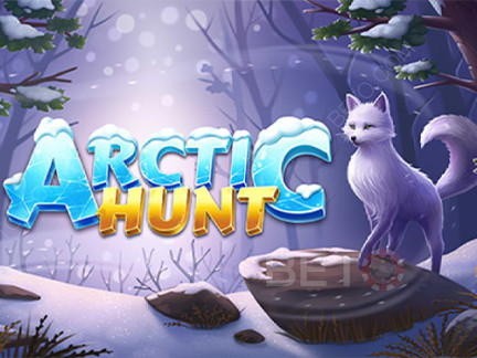Arctic Hunt ডেমো