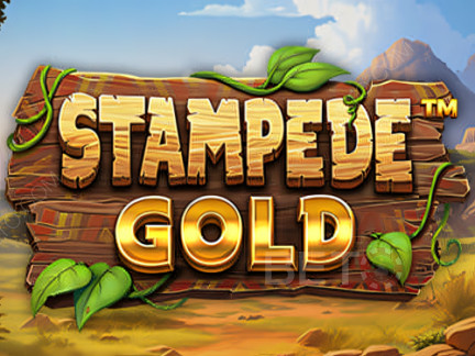 Stampede Gold ডেমো