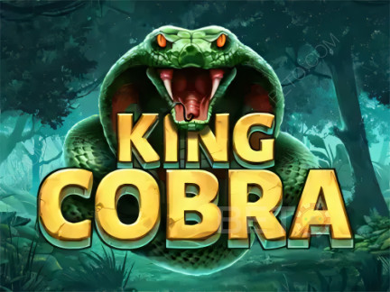 King Cobra ডেমো