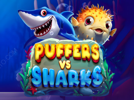 Puffers Vs Sharks ডেমো