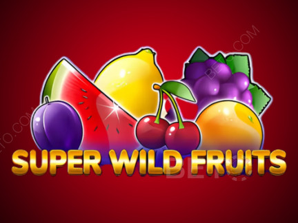 Super Wild Fruits ডেমো