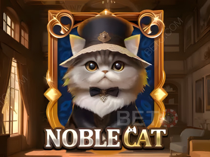 Noble Cat ডেমো