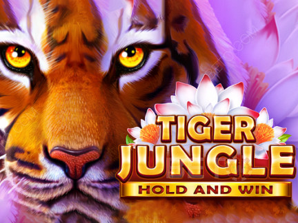 Tiger Jungle Hold and Win ডেমো