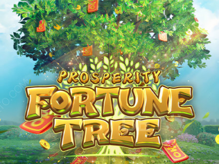 Prosperity Fortune Tree ডেমো