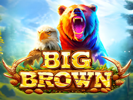 Big Brown ডেমো