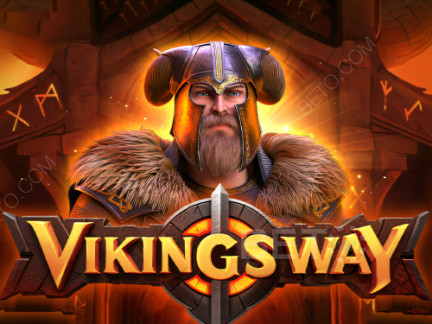 Vikings Way ডেমো