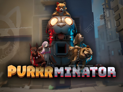 Purrrminator ডেমো