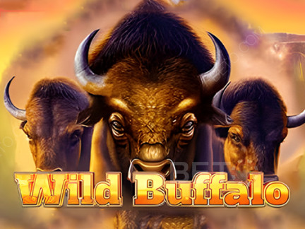 Wild Buffalo ডেমো