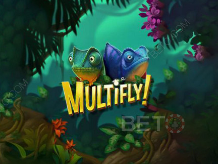 MultiFly ডেমো