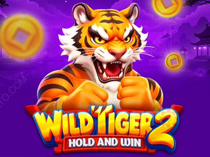 Wild Tiger 2 ডেমো
