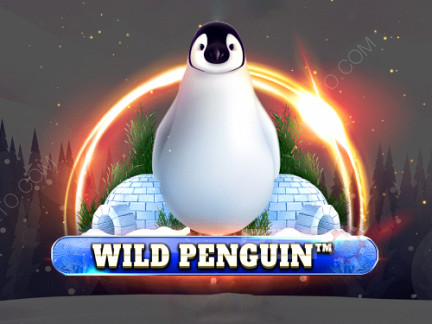Wild Penguin ডেমো