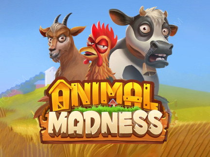 Animal Madness ডেমো