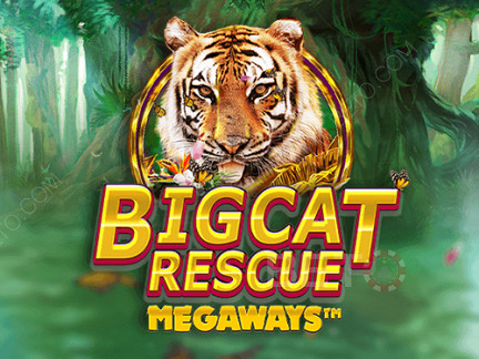 Big Cat Rescue Megaways ডেমো