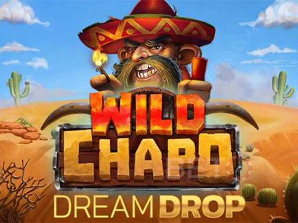 Wild Chapo Dream Drop ডেমো